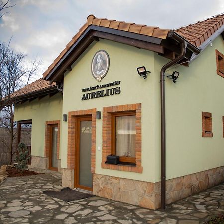 Vinarsky Penzion Andre Velké Pavlovice Kültér fotó