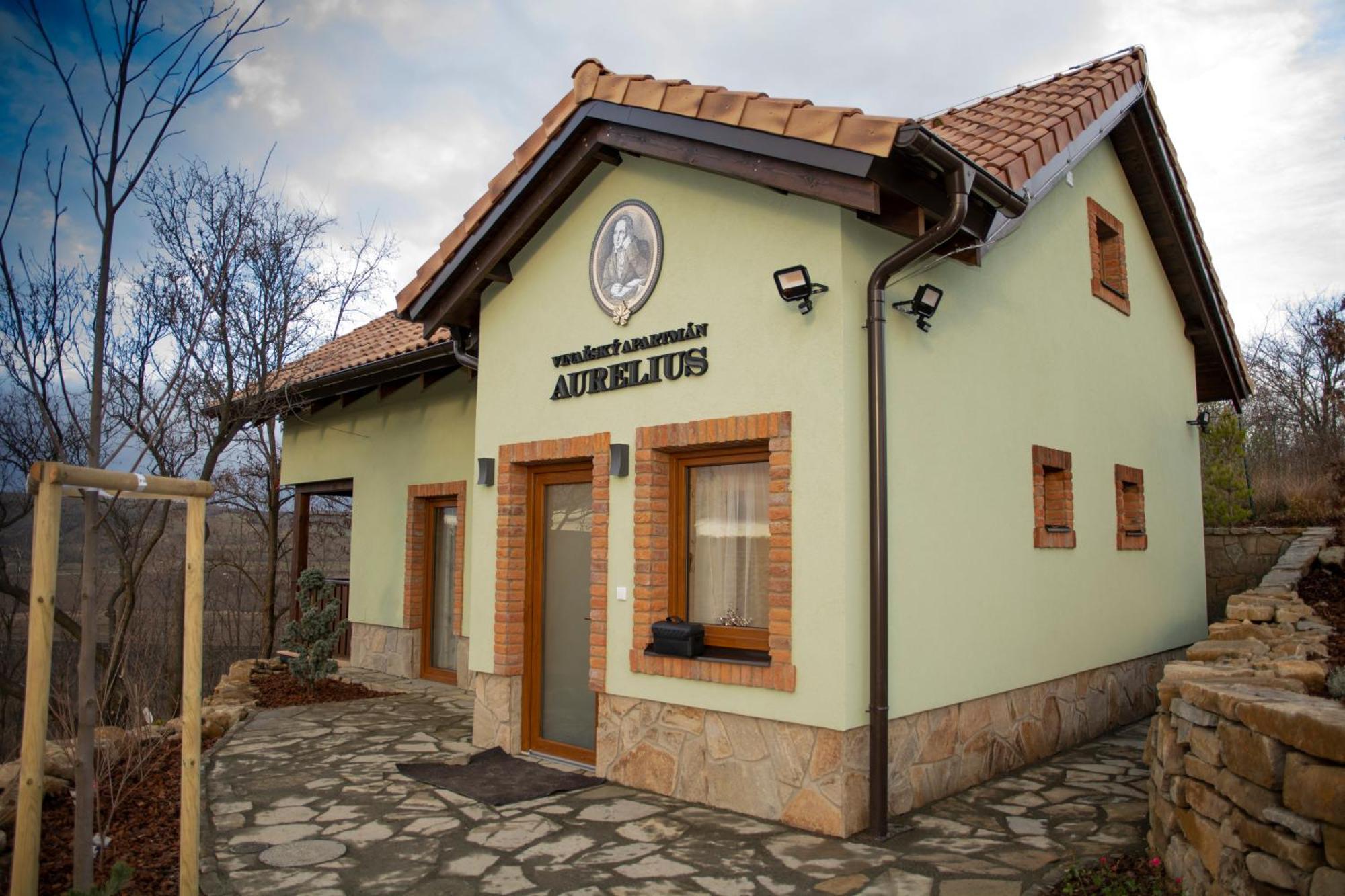 Vinarsky Penzion Andre Velké Pavlovice Kültér fotó